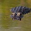 thumbs/IMG_0637.jpg